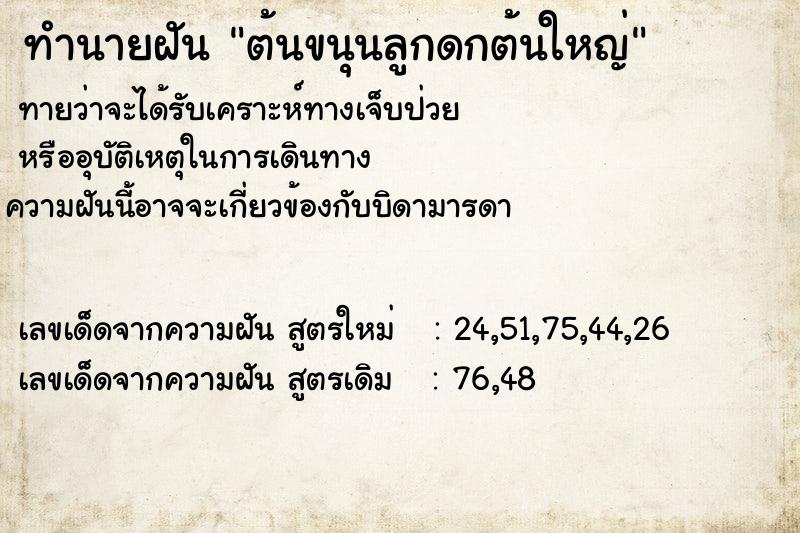 ทำนายฝันต้นขนุนลูกดกต้นใหญ่ ทำนายฝันทำนายฝันต้นขนุนลูกดกต้นใหญ่