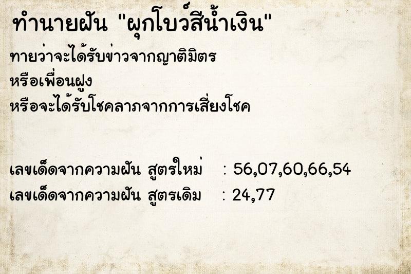 ทำนายฝัน ผุกโบว์สีน้ำเงิน ทำนายฝัน ผุกโบว์สีน้ำเงิน