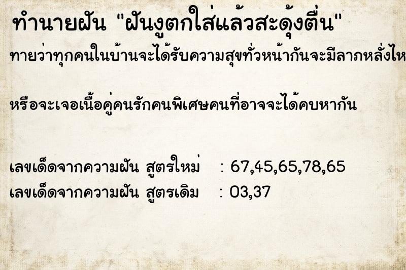 ทำนายฝันฝันงูตกใส่แล้วสะดุ้งตื่น ทำนายฝันทำนายฝันฝันงูตกใส่แล้วสะดุ้งตื่น