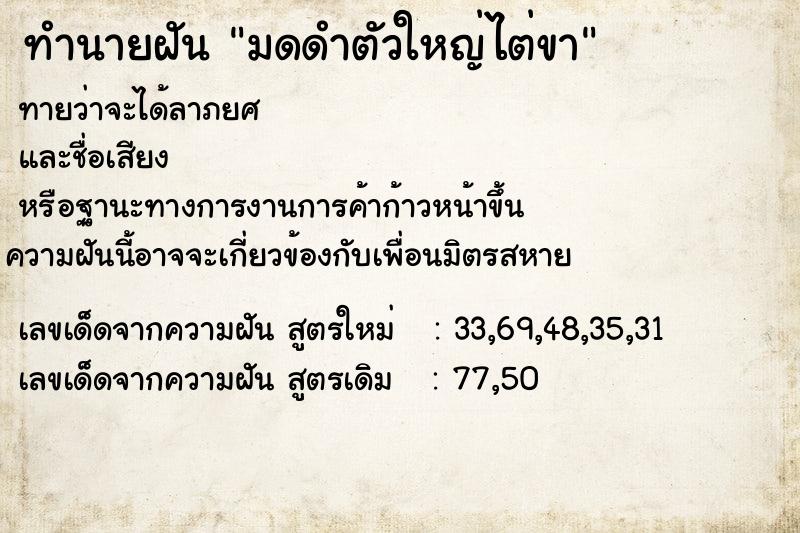 ทำนายฝันมดดำตัวใหญ่ไต่ขา ทำนายฝันทำนายฝันมดดำตัวใหญ่ไต่ขา