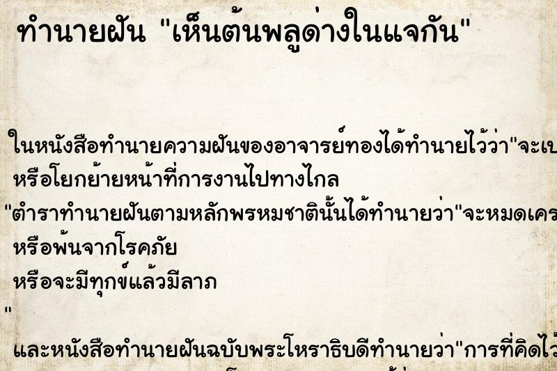 ทำนายฝันทำนายฝันเห็นต้นพลูด่างในแจกัน