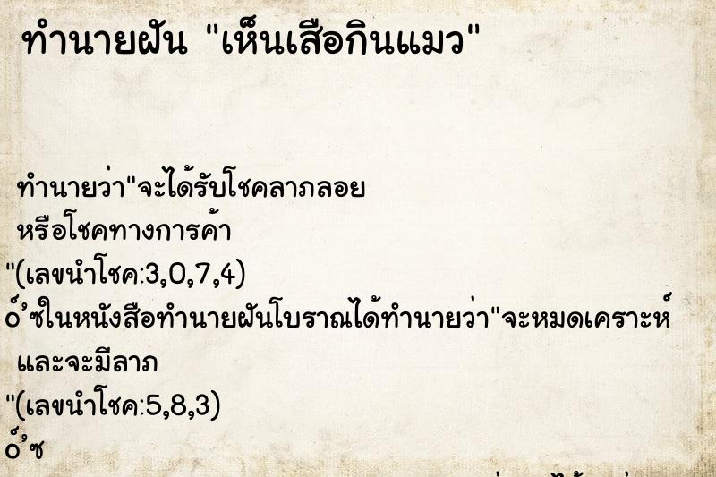 ทำนายฝัน เห็นเสือกินแมว ทำนายฝัน เห็นเสือกินแมว