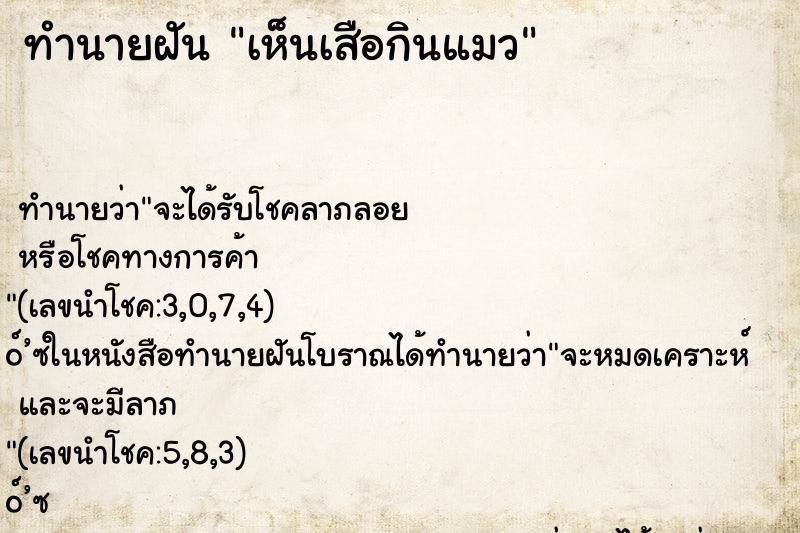 ทำนายฝัน เห็นเสือกินแมว ตำราโบราณ แม่นที่สุดในโลก