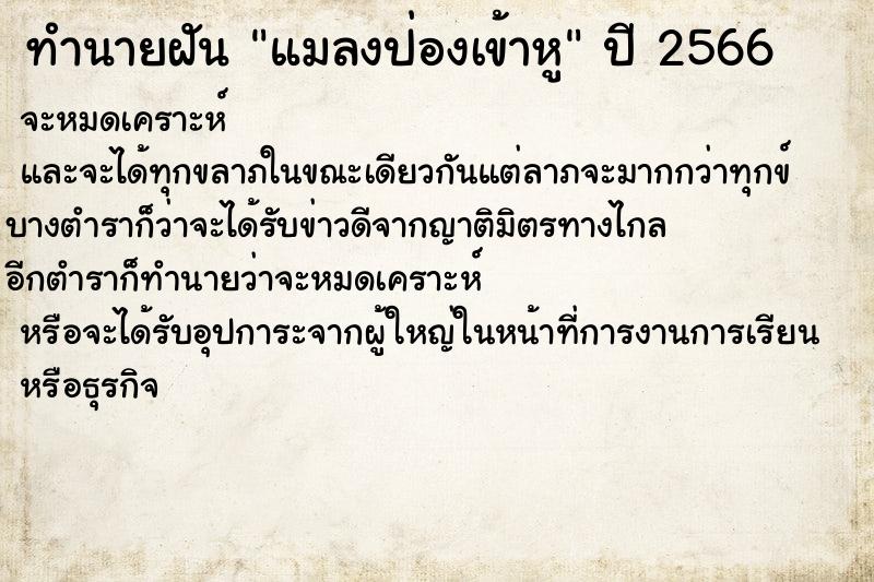 ทำนายฝัน แมลงป่องเข้าหู ทำนายฝัน แมลงป่องเข้าหู