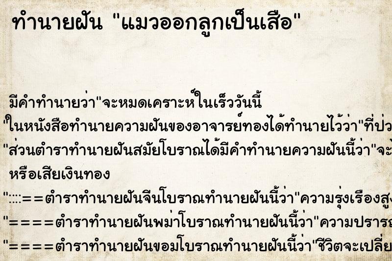 ทำนายฝัน แมวออกลูกเป็นเสือ ตำราโบราณ แม่นที่สุดในโลก