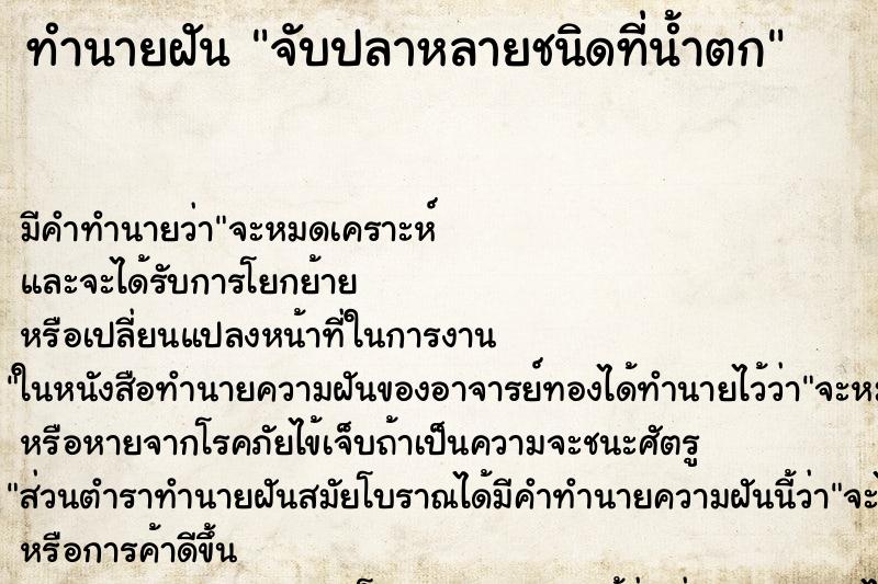 ทำนายฝันจับปลาหลายชนิดที่น้ำตก ทำนายฝันทำนายฝันจับปลาหลายชนิดที่น้ำตก