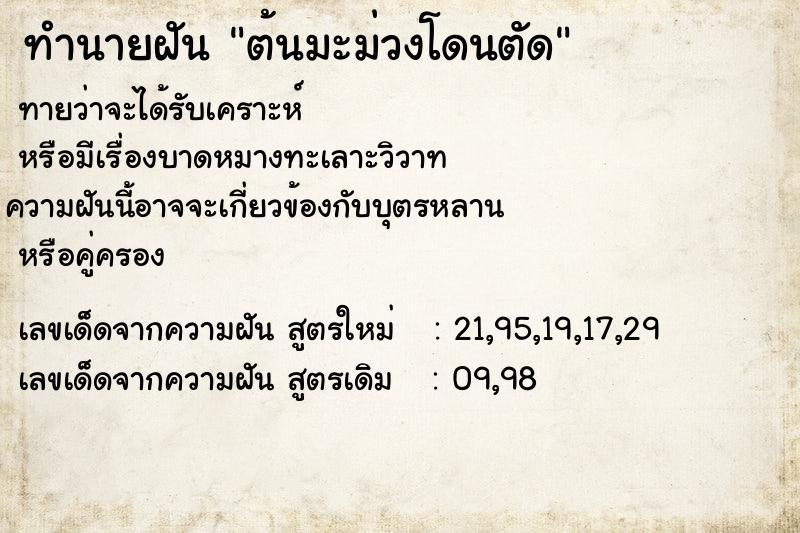 ทำนายฝัน ต้นมะม่วงโดนตัด