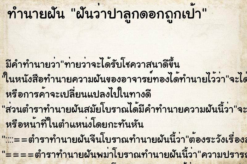 ทำนายฝัน ฝันว่าปาลูกดอกถูกเป้า ตำราโบราณ แม่นที่สุดในโลก