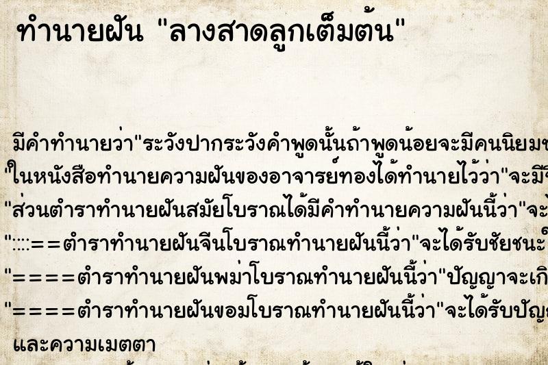 ทำนายฝัน ลางสาดลูกเต็มต้น ทำนายฝัน ลางสาดลูกเต็มต้น