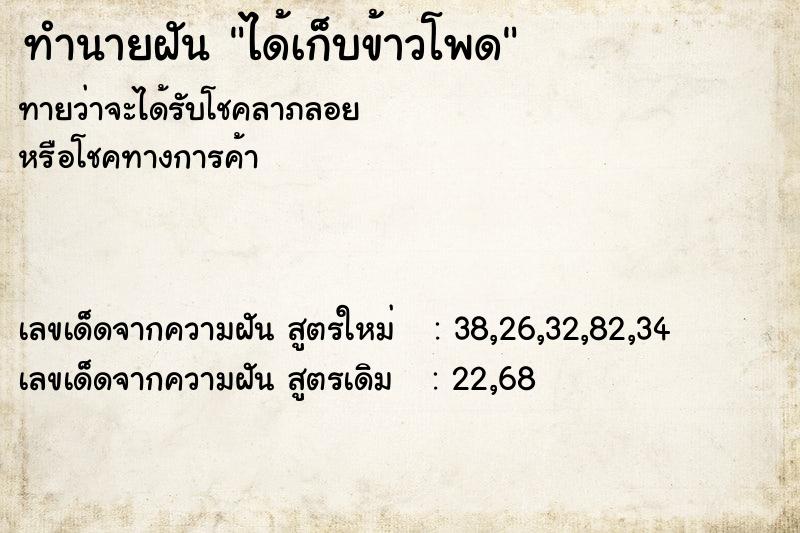 ทำนายฝัน ได้เก็บข้าวโพด ตำราโบราณ แม่นที่สุดในโลก