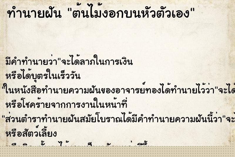 ทำนายฝันต้นไม้งอกบนหัวตัวเอง ทำนายฝันทำนายฝันต้นไม้งอกบนหัวตัวเอง