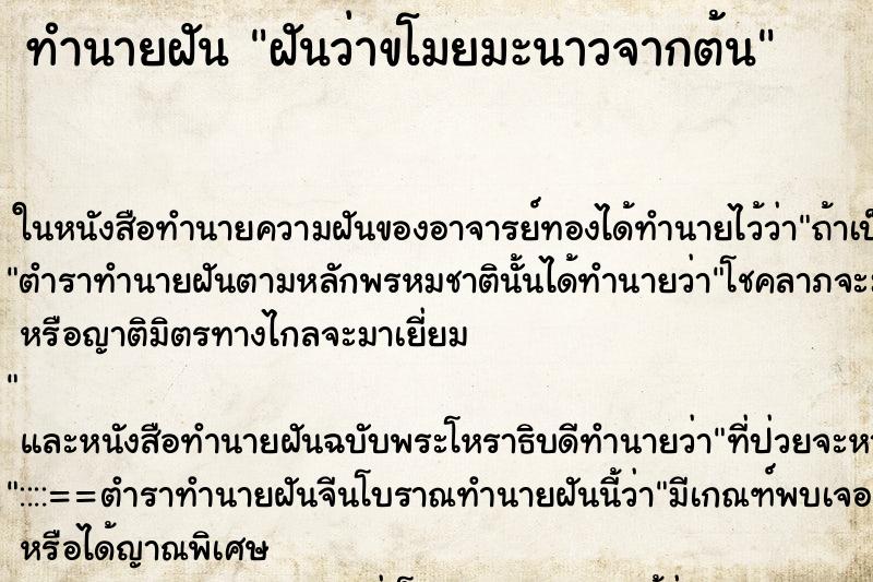 ทำนายฝันฝันว่าขโมยมะนาวจากต้น ทำนายฝันทำนายฝันฝันว่าขโมยมะนาวจากต้น