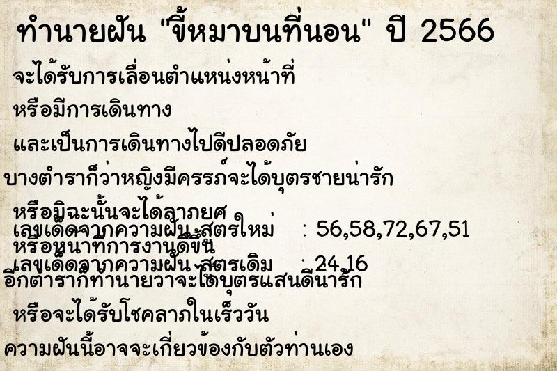 ทำนายฝัน ขี้หมาบนที่นอน ทำนายฝัน ขี้หมาบนที่นอน
