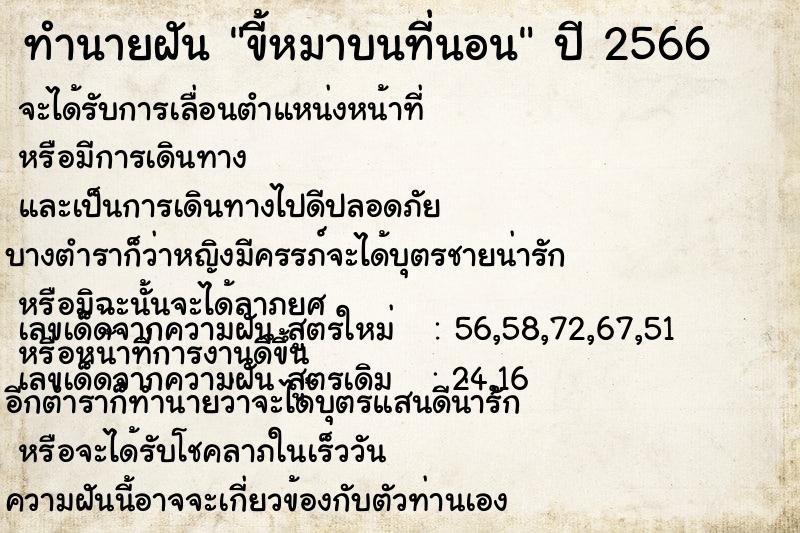 ทำนายฝัน ขี้หมาบนที่นอน ตำราโบราณ แม่นที่สุดในโลก