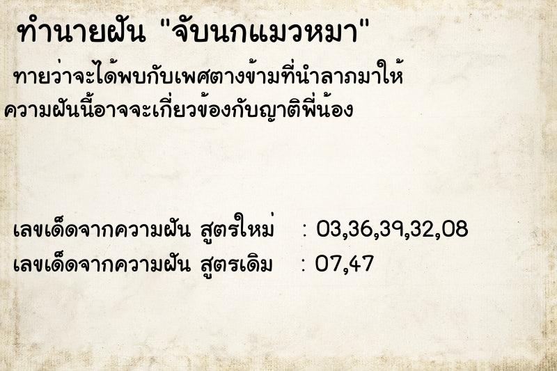 ทำนายฝันทำนายฝันจับนกแมวหมา