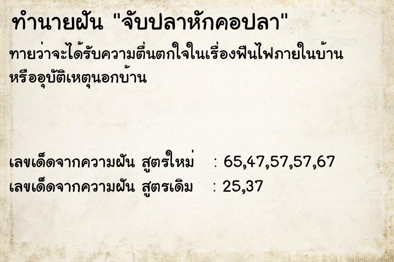 ทำนายฝันทำนายฝันจับปลาหักคอปลา
