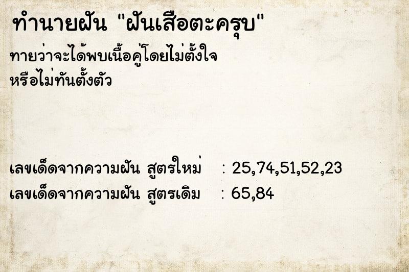 ทำนายฝันฝันเสือตะครุบ ทำนายฝันทำนายฝันฝันเสือตะครุบ