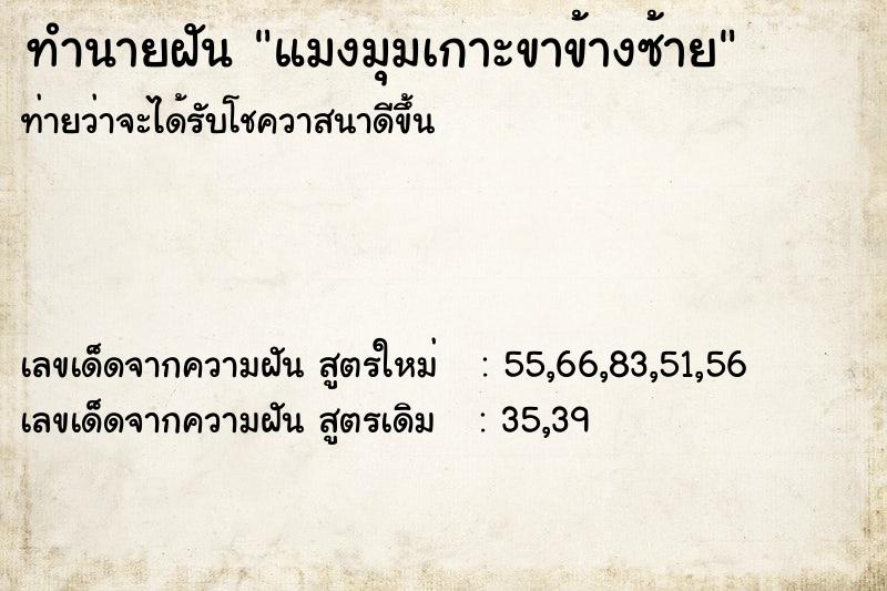 ทำนายฝันทำนายฝันแมงมุมเกาะขาข้างซ้าย