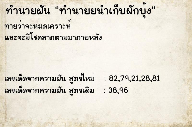 ทำนายฝันทำนายฝันทำนายยนำเก็บผักบุ้ง