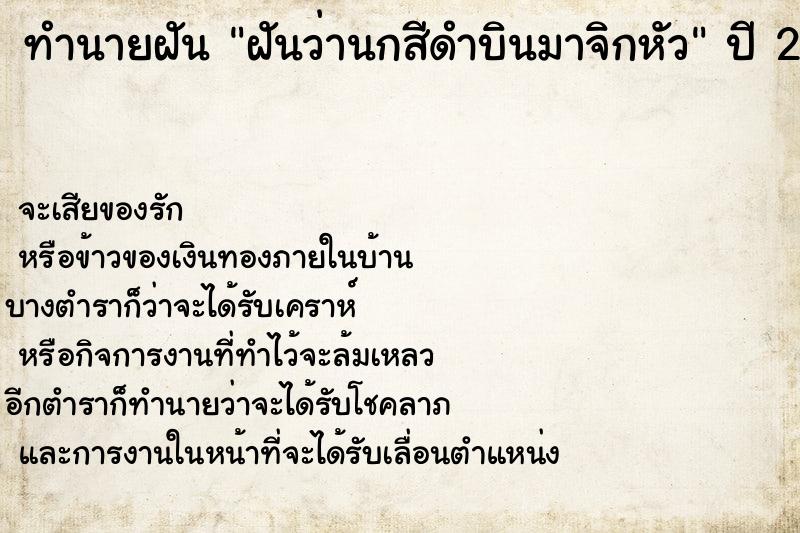 ทำนายฝันฝันว่านกสีดำบินมาจิกหัว ทำนายฝันทำนายฝันฝันว่านกสีดำบินมาจิกหัว