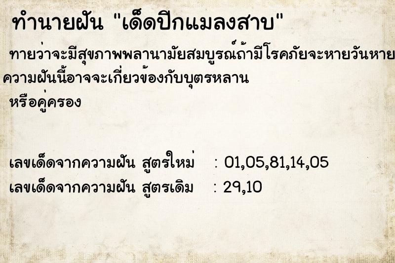 ทำนายฝันเด็ดปีกแมลงสาบ ทำนายฝันทำนายฝันเด็ดปีกแมลงสาบ