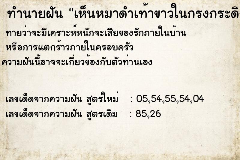 ทำนายฝันเห็นหมาดำเท้าขาวในกรงกระดิกหางให้ ทำนายฝันทำนายฝันเห็นหมาดำเท้าขาวในกรงกระดิกหางให้