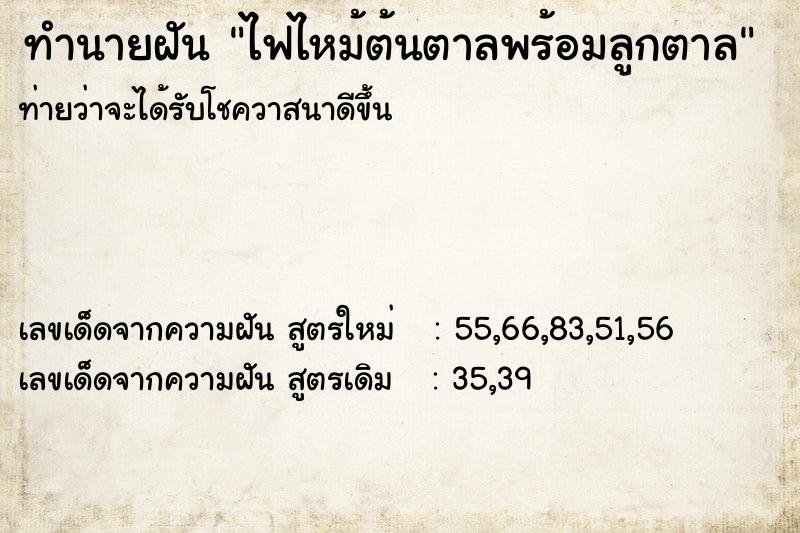 ทำนายฝันไฟไหม้ต้นตาลพร้อมลูกตาล ทำนายฝันทำนายฝันไฟไหม้ต้นตาลพร้อมลูกตาล
