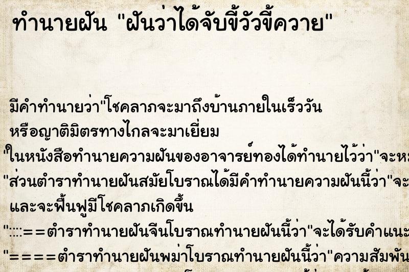 ทำนายฝัน ฝันว่าได้จับขี้วัวขี้ควาย ทำนายฝัน ฝันว่าได้จับขี้วัวขี้ควาย