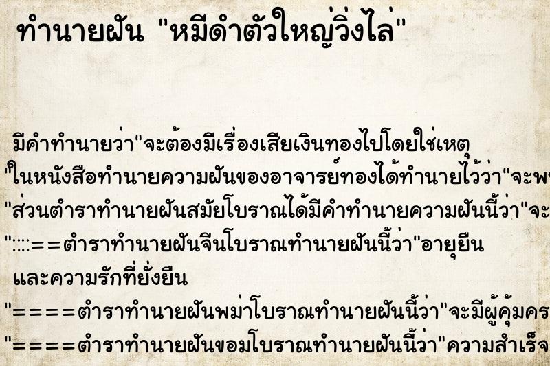 ทำนายฝัน หมีดำตัวใหญ่วิ่งไล่ ทำนายฝัน หมีดำตัวใหญ่วิ่งไล่