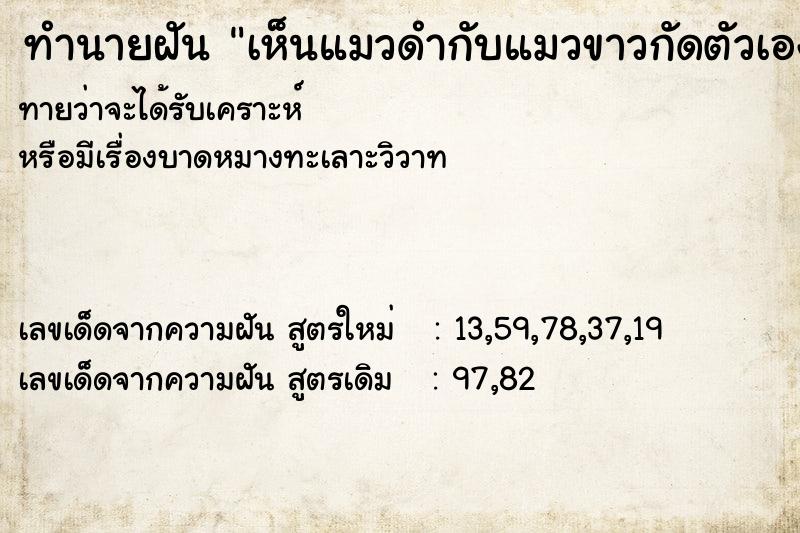 ทำนายฝัน เห็นแมวดำกับแมวขาวกัดตัวเอง ทำนายฝัน เห็นแมวดำกับแมวขาวกัดตัวเอง