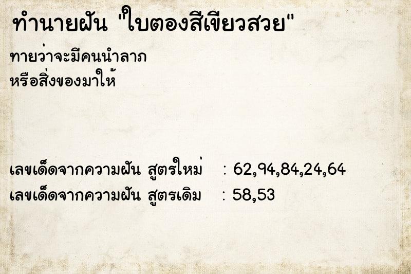 ทำนายฝันใบตองสีเขียวสวย ทำนายฝันทำนายฝันใบตองสีเขียวสวย