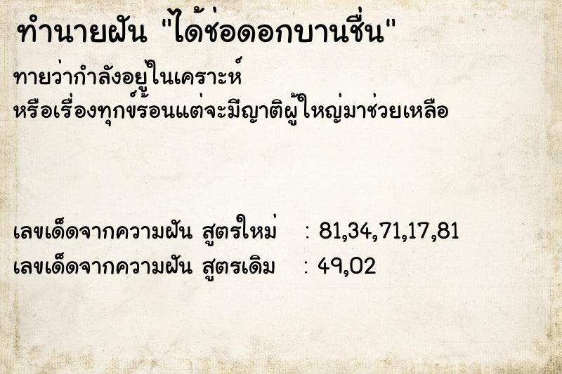 ทำนายฝัน ได้ช่อดอกบานชื่น ทำนายฝัน ได้ช่อดอกบานชื่น