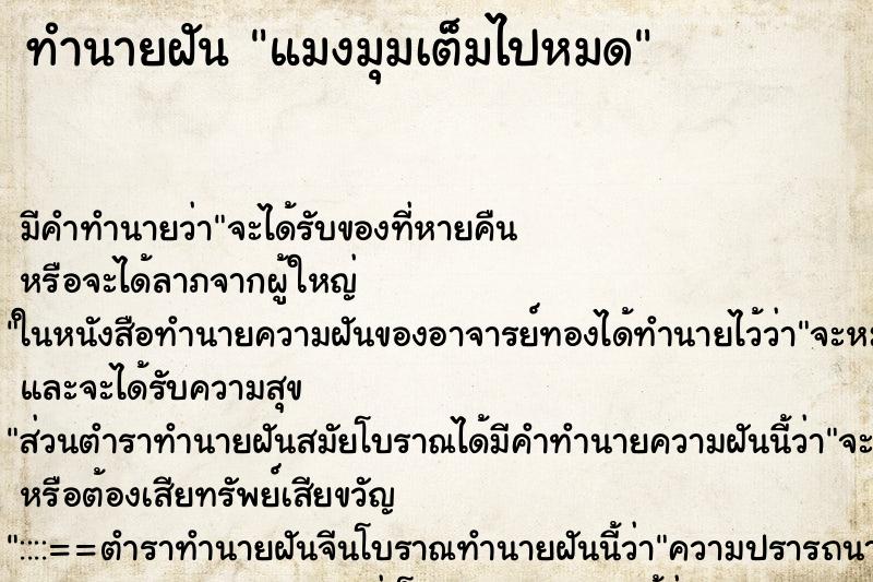 ทำนายฝันทำนายฝันแมงมุมเต็มไปหมด