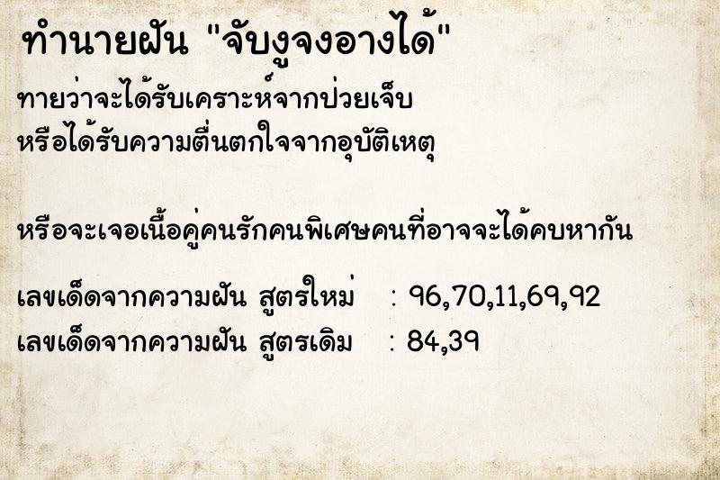 ทำนายฝันจับงูจงอางได้ ทำนายฝันทำนายฝันจับงูจงอางได้