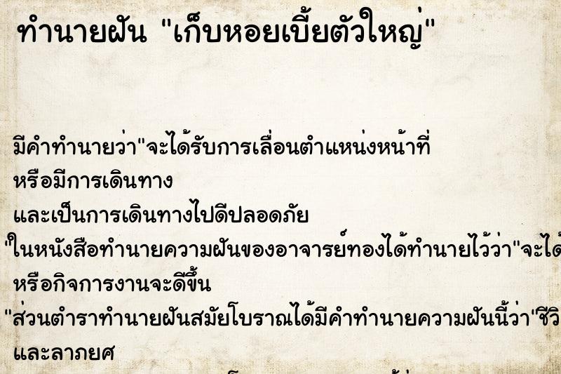ทำนายฝัน เก็บหอยเบี้ยตัวใหญ่ ทำนายฝัน เก็บหอยเบี้ยตัวใหญ่