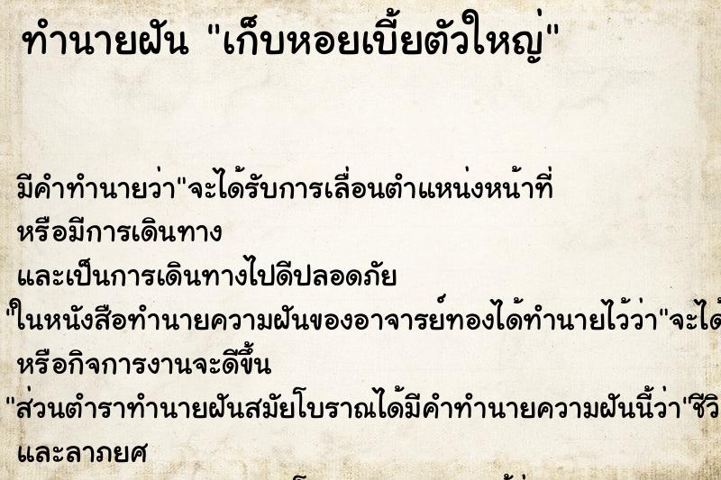 ทำนายฝัน เก็บหอยเบี้ยตัวใหญ่ ตำราโบราณ แม่นที่สุดในโลก