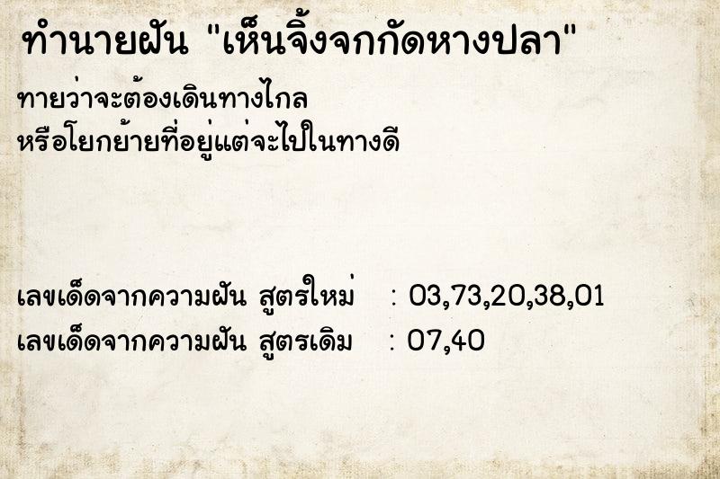 ทำนายฝันทำนายฝันเห็นจิ้งจกกัดหางปลา