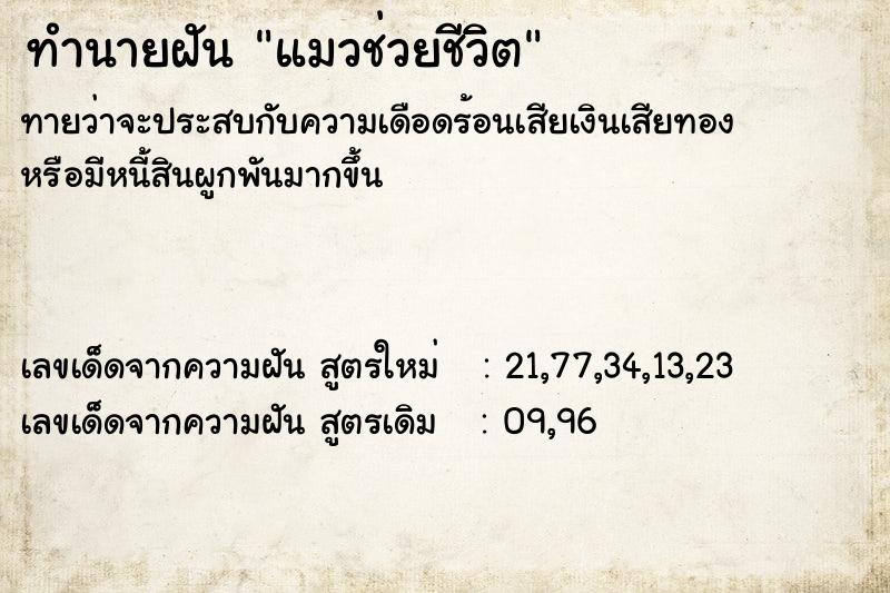ทำนายฝัน แมวช่วยชีวิต ทำนายฝัน แมวช่วยชีวิต