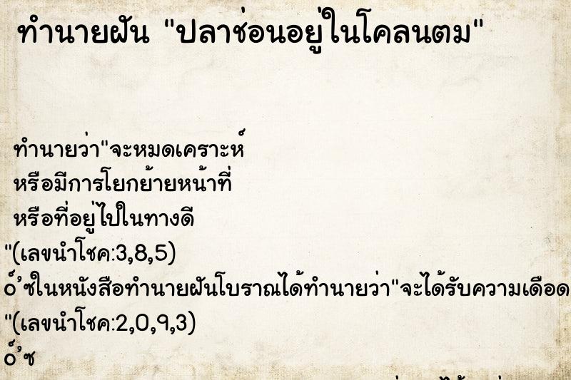 ทำนายฝัน ปลาช่อนอยู่ในโคลนตม ตำราโบราณ แม่นที่สุดในโลก