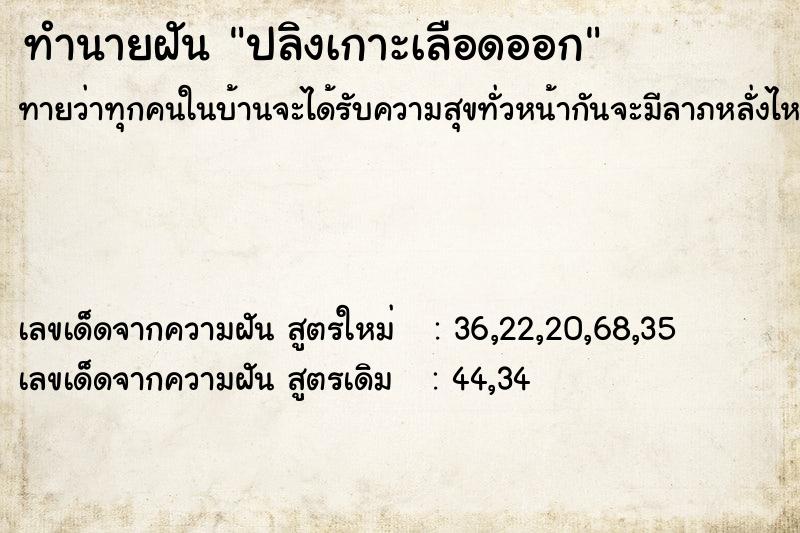 ทำนายฝันทำนายฝันปลิงเกาะเลือดออก