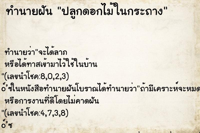 ทำนายฝัน ปลูกดอกไม้ในกระถาง