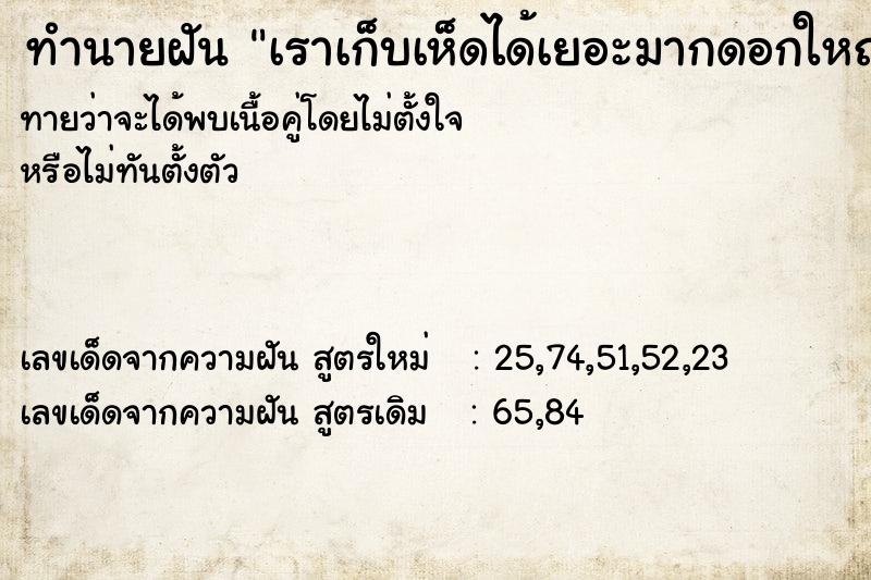 ทำนายฝันเราเก็บเห็ดได้เยอะมากดอกใหญ่มาก ทำนายฝันทำนายฝันเราเก็บเห็ดได้เยอะมากดอกใหญ่มาก