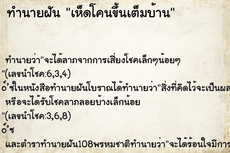 ทำนายฝัน เห็ดโคนขึ้นเต็มบ้าน ตำราโบราณ แม่นที่สุดในโลก