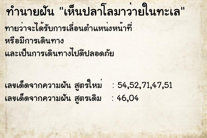 ทำนายฝันทำนายฝันเห็นปลาโลมาว่ายในทะเล