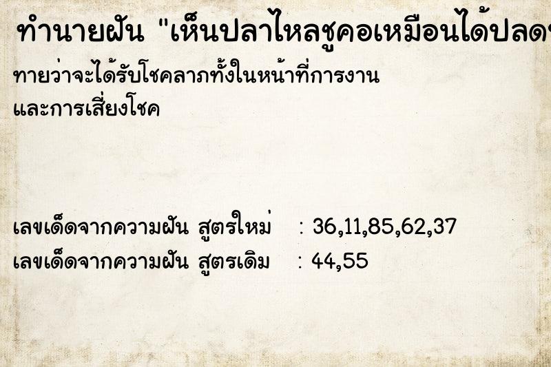 ทำนายฝันเห็นปลาไหลชูคอเหมือนได้ปลดปล่อย ทำนายฝันทำนายฝันเห็นปลาไหลชูคอเหมือนได้ปลดปล่อย