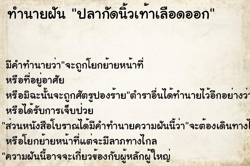 ทำนายฝัน ปลากัดนิ้วเท้าเลือดออก ตำราโบราณ แม่นที่สุดในโลก