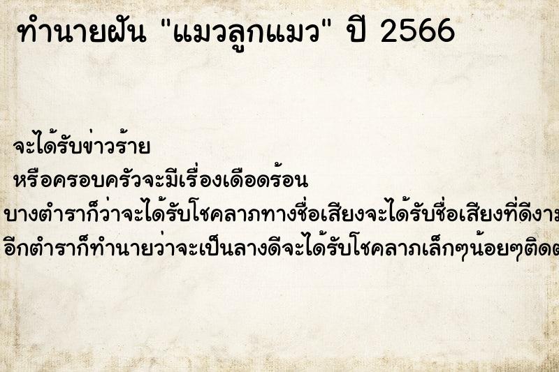 ทำนายฝันแมวลูกแมว ทำนายฝันทำนายฝันแมวลูกแมว