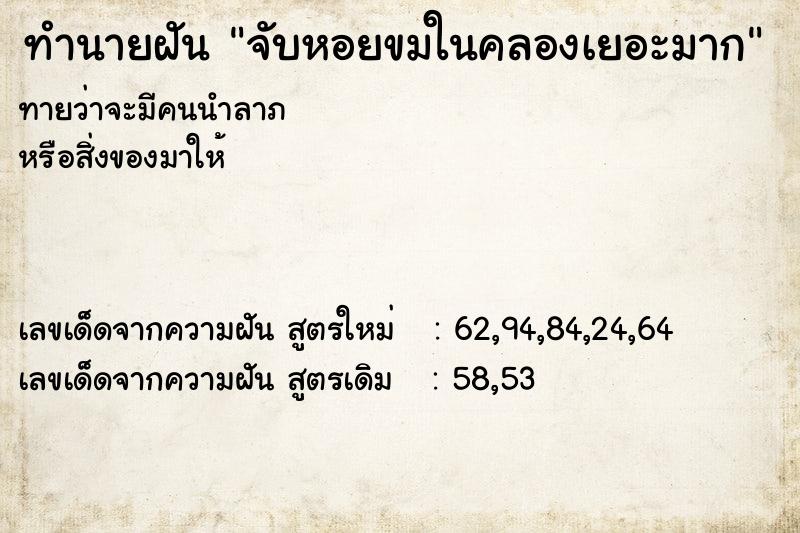 ทำนายฝันจับหอยขมในคลองเยอะมาก ทำนายฝันทำนายฝันจับหอยขมในคลองเยอะมาก