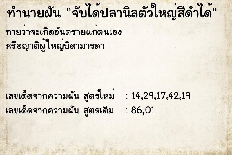 ทำนายฝันจับได้ปลานิลตัวใหญ่สีดำได้ ทำนายฝันทำนายฝันจับได้ปลานิลตัวใหญ่สีดำได้