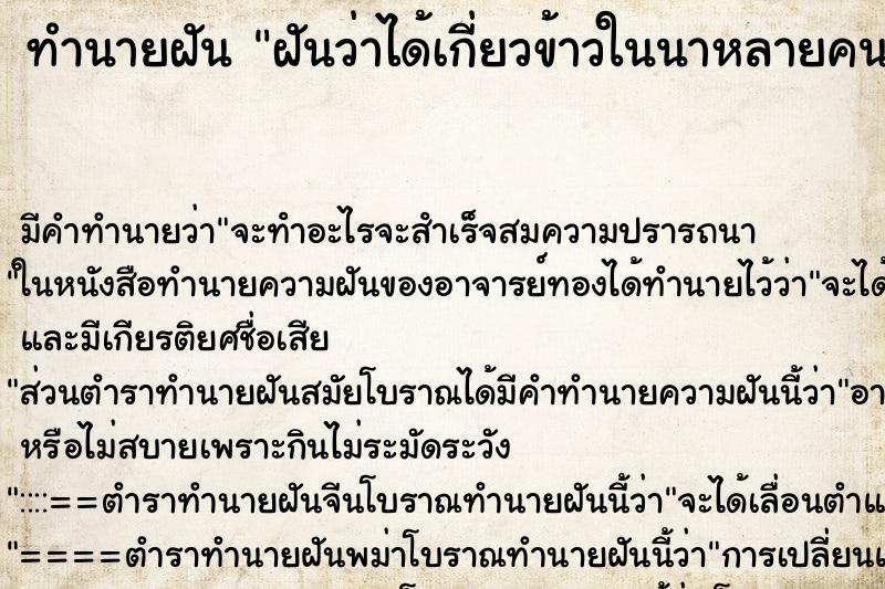 ทำนายฝันฝันว่าได้เกี่ยวข้าวในนาหลายคน ทำนายฝันทำนายฝันฝันว่าได้เกี่ยวข้าวในนาหลายคน